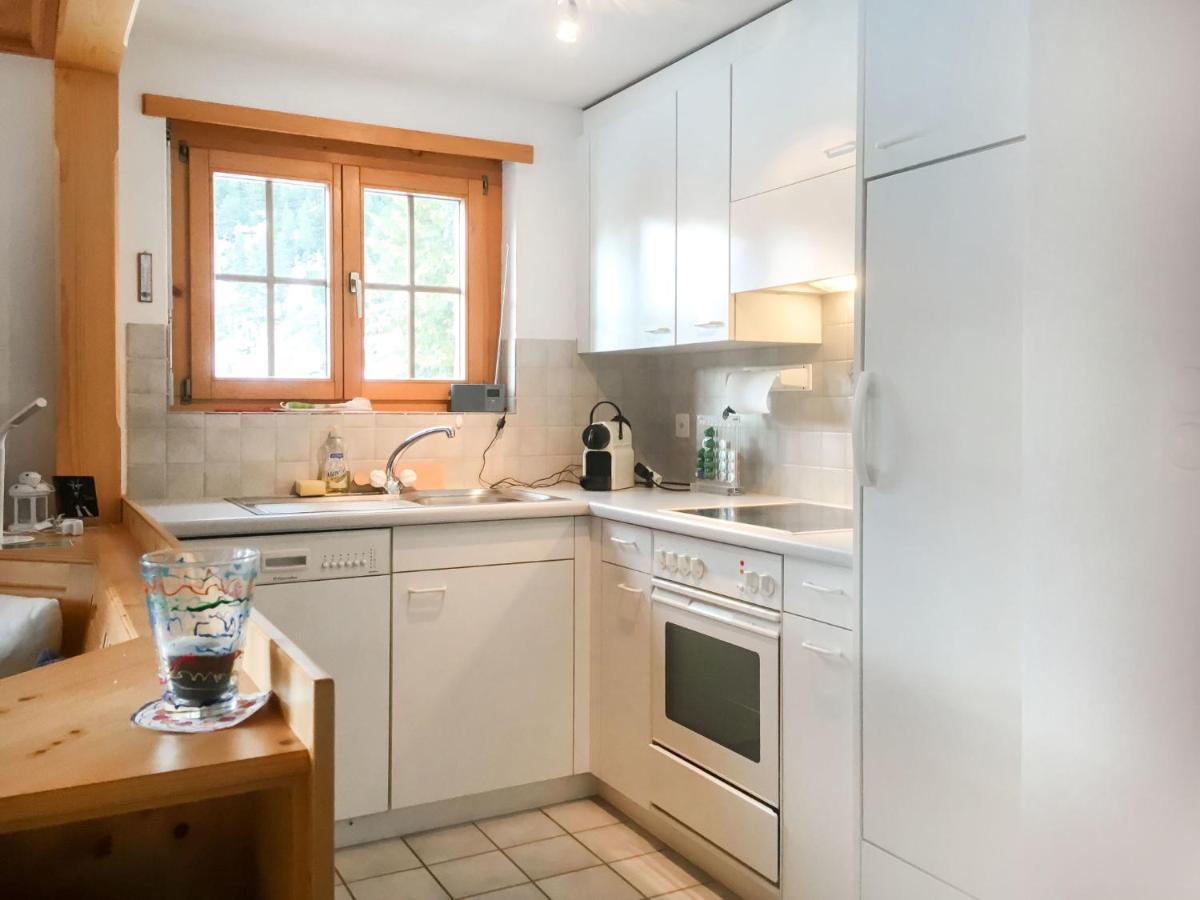 Apartment Haus Lotti Apt 203 By Interhome Schmitten  Eksteriør bilde