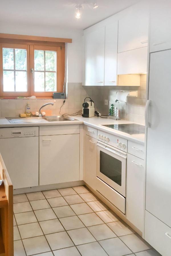 Apartment Haus Lotti Apt 203 By Interhome Schmitten  Eksteriør bilde
